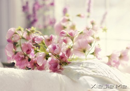 看自己的风景，行自己的人生 (3)