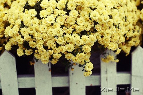 晚安心语：在途中，认清自己 (3)