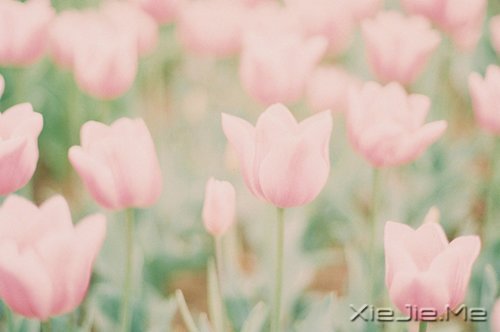 晚安心语：在途中，认清自己 (10)