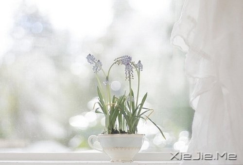 早安心语：脏话比谎言干净一千倍 (7)