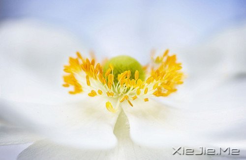 早安心语：脏话比谎言干净一千倍 (9)
