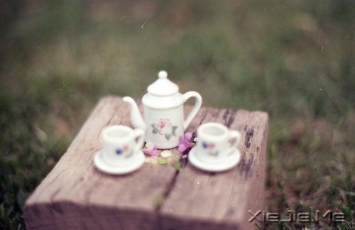 早安心语：学着看淡一些事情，才是对自己最好的保护 (1)