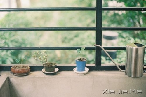 我正在努力变成自己喜欢的那个自己 (7)