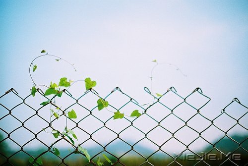 早安心语：不沉溺幻想，不庸人自扰 (2)