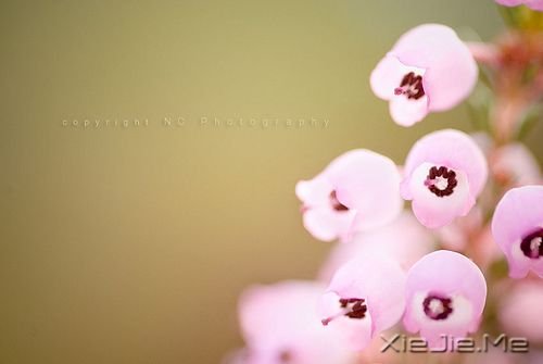 晚安心语：最好的幸福，是你给的在乎 (6)