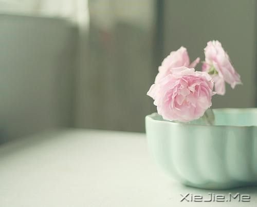 晚安心语：最好的幸福，是你给的在乎 (7)