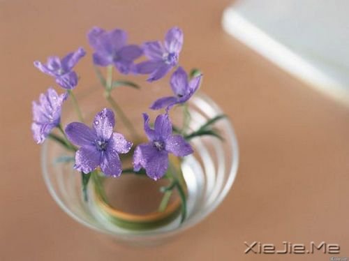 早安心语：有种信仰，叫做朝阳 (1)