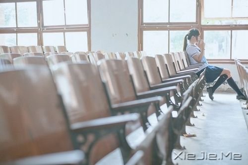 早安心语：有种信仰，叫做朝阳 (8)