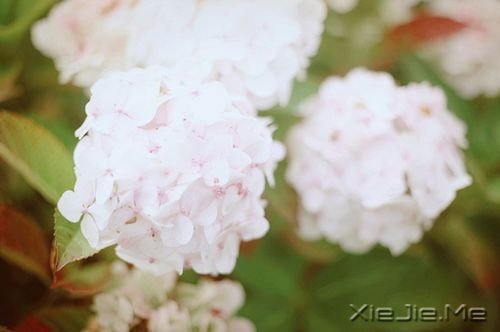 晚安心语：若无其事，原来是最狠的报复 (3)