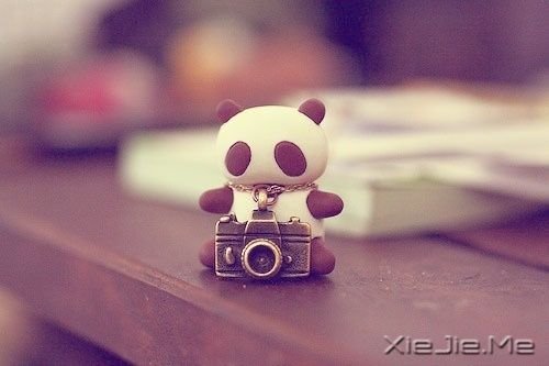 治愈系图片 (6)