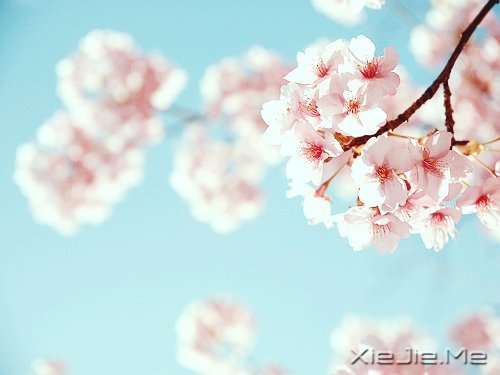 文字：逼格太高的人，不适合相亲